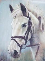 Horse Paintings